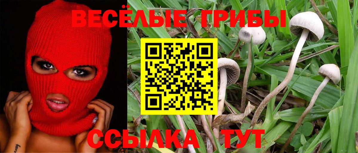 Псилоцибиновые грибы Magic Shrooms  Галлюциногенные грибы Psilocybine cubensis  Вязьма  Вход с VPN 