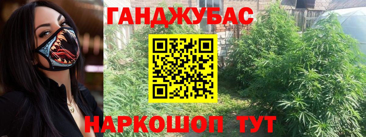 Шишки марихуана Bruce Banner  Бошки марихуана ГИДРОПОН  Вязьма  Вход с VPN 